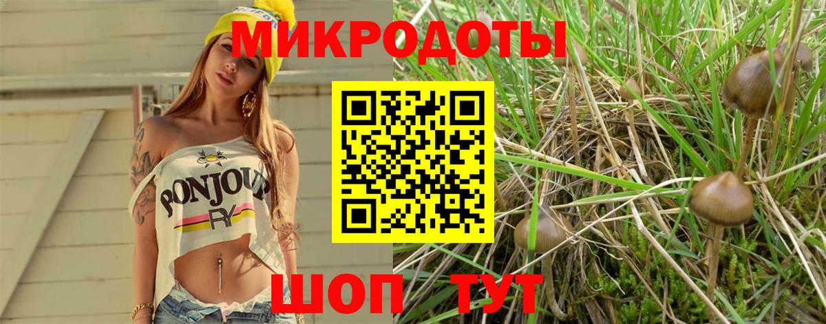 Галлюциногенные грибы Psilocybine cubensis  как найти закладки  Псилоцибиновые грибы GOLDEN TEACHER  Азнакаево  Вход с VPN 